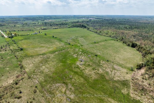 1007 Moor Road, Kawartha Lakes, ON 