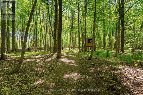 Peaceful wooded setting - 397 Burchill Road, Montague, ON 
