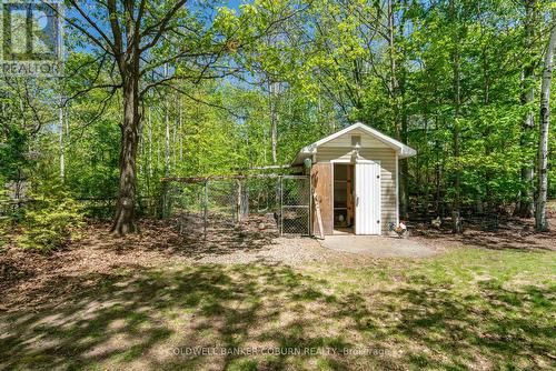 chicken coop and shed - 397 Burchill Road, Montague, ON 