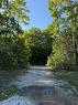 909 17 Concession, Tiny, ON 