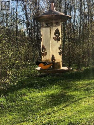 2512 County Road 30, North Glengarry, ON 