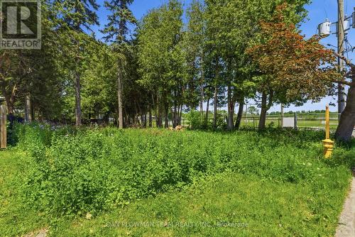 38 Park Street, Clarington, ON 