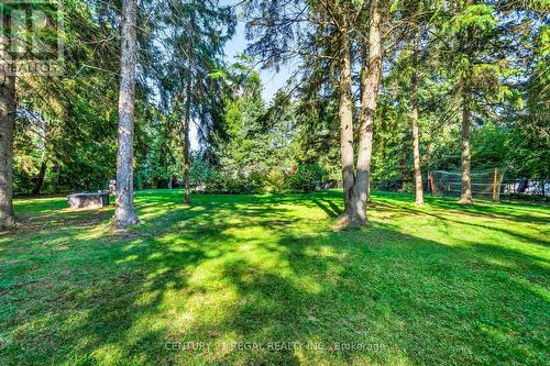 4434 Cedar Springs Road, Burlington, ON 