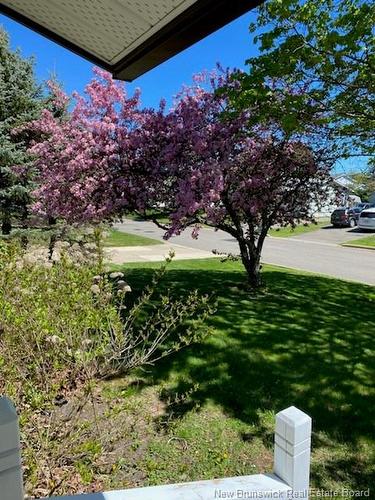 42 Goldsboro Ave, Riverview, NB 