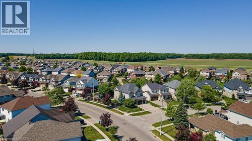 Residential subdivision featuring varied architectural styles and mature trees, bordered by expansive green fields - 61 Ditner Avenue, Baden, ON - Outdoor With View