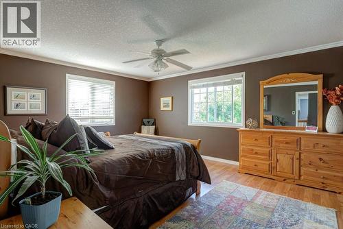Bedroom featuring wood-finish flooring, two large windows, a ceiling fan, crown molding, and a warm brown wall color - 61 Ditner Avenue, Baden, ON - Indoor Photo Showing Bedroom