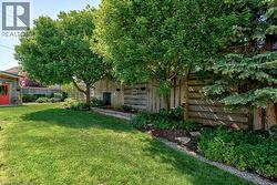 Expansive green lawn with mature trees and established garden beds - 