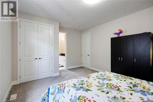 Plush grey carpeting and neutral wall paint define this interior space - 57 Hollybrook Trail, Kitchener, ON 