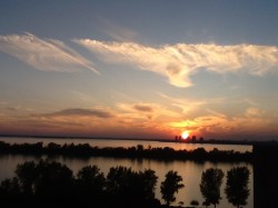 View - 