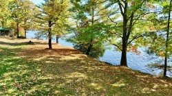 Bord de l'eau - 