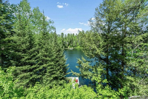 Vue sur l'eau - 233 Ch. Stephens, Otter Lake, QC 