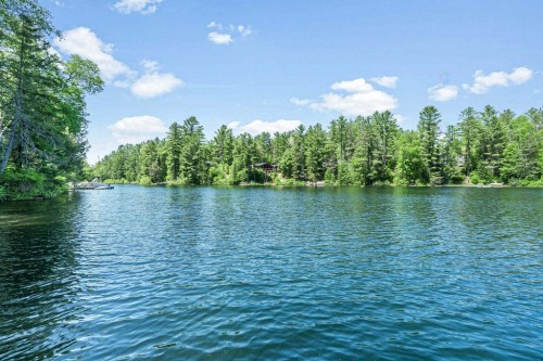 Bord de l'eau - 233 Ch. Stephens, Otter Lake, QC 