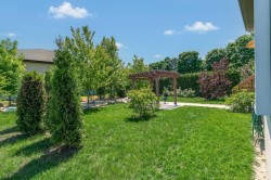 Courtyard - 