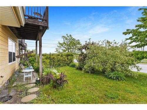 13 Eco Terra Dr, Fredericton, NB 