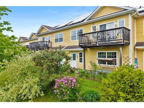 13 Eco Terra Dr, Fredericton, NB 
