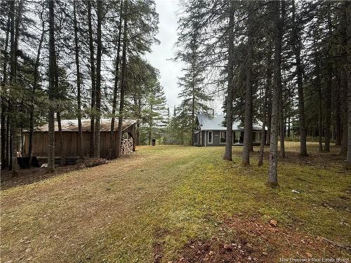 1194 Route 385, Oxbow, NB 