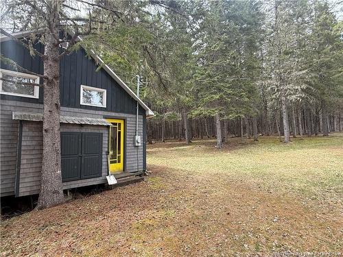 1194 Route 385, Oxbow, NB 