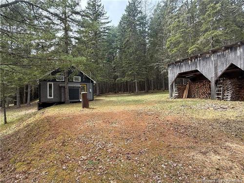 1194 Route 385, Oxbow, NB 