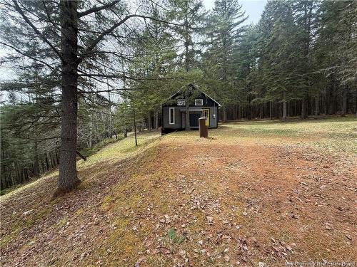 1194 Route 385, Oxbow, NB 