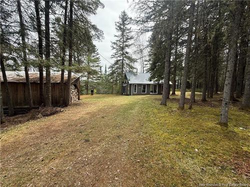 1194 Route 385, Oxbow, NB 
