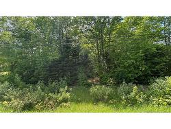 LOT Route 135 Trudel, NB E8R 1N1