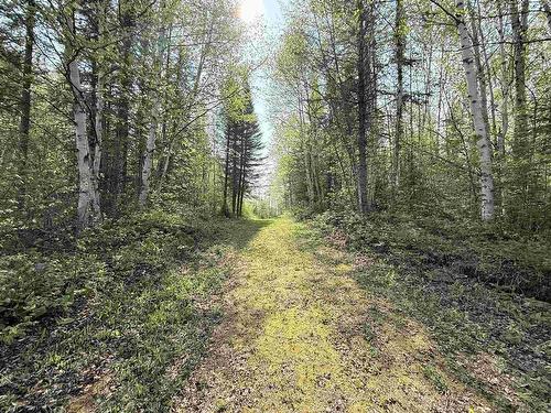 623 Grann Drive, Shuniah, ON 