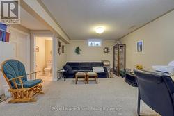 Lower level Family Room - 