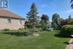 Side yard - 