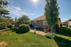Back yard - 
