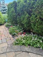Patio gardens - 