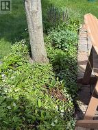 Patio gardens - 