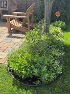 Patio gardens - 