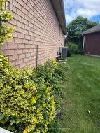 Side garden - 