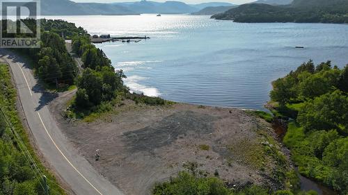 20 Black River Road, Black River, NL 