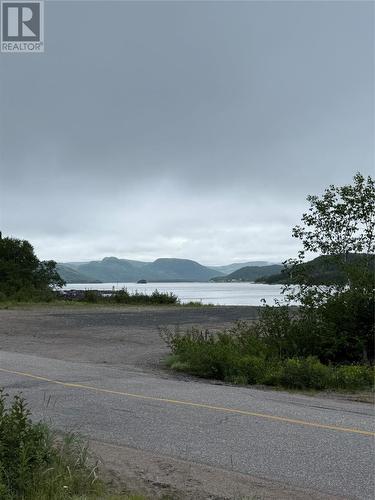 20 Black River Road, Black River, NL 