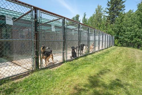 53309A Range Rd 65, Gainford, AB 