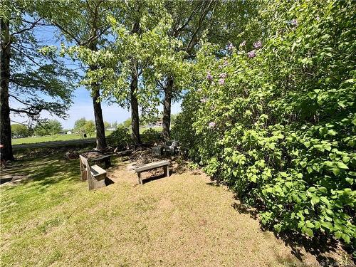 46 Surette, Cocagne, NB 