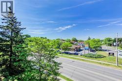 Lush trees and foliage frame an expansive blue sky - 
