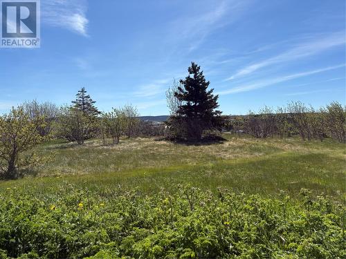 3 Evening'S Path, Torbay, NL 