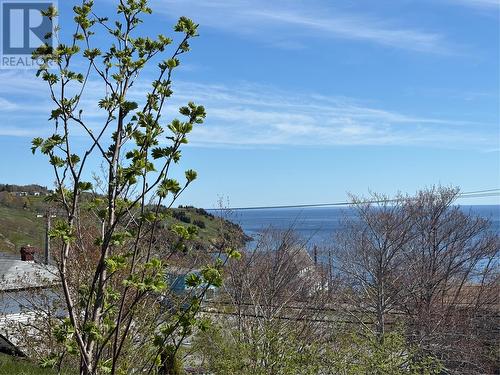 3 Evening'S Path, Torbay, NL 