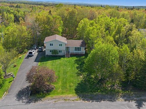 48 Waterville Drive, Howie Centre, NS 