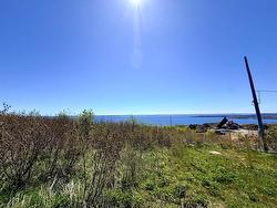 37 Drovers Road  Upper Island Cove, NL A0A 4E0