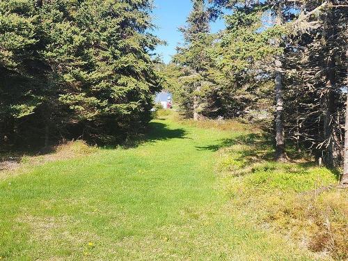 Lot 1 Wharf Loop, Ecum Secum, NS 
