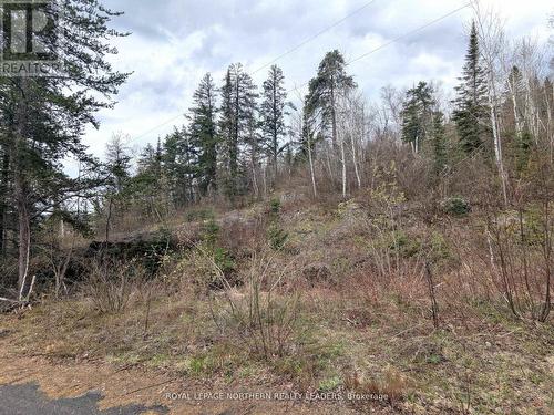 1619 Lava Mountain Road, Black River-Matheson (Matheson), ON 