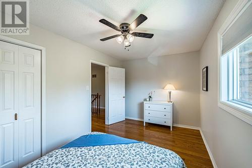 19 Newgreen Crescent, Brampton, ON 