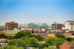 View - 