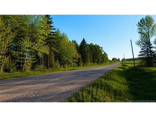 Lot Baseline Rd, Cornhill, NB 