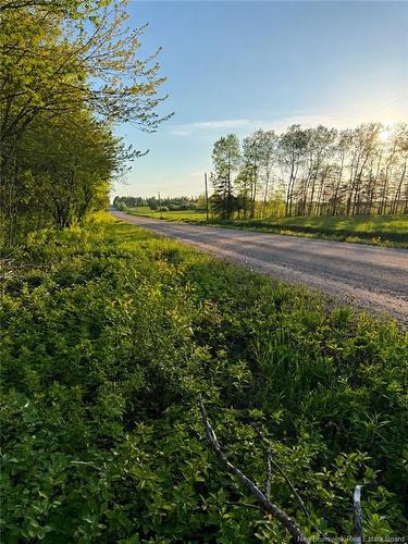 Lot Baseline Rd, Cornhill, NB 