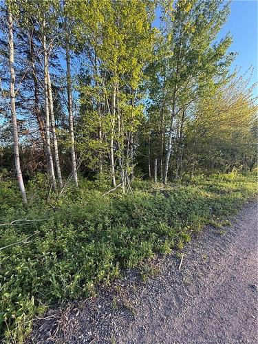 Lot Baseline Rd, Cornhill, NB 