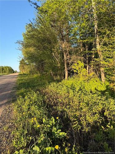 Lot Baseline Rd, Cornhill, NB 